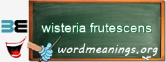 WordMeaning blackboard for wisteria frutescens